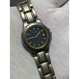 Citizen Wr100 26Mm Çelik Kordon Kadın Kol Saati 1010-H11208 Cwj 2.El