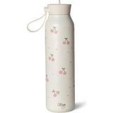 Citron 3 Katmanlı Paslanmaz Çelik Termos Seti 500 ml - Cherry - Renkli