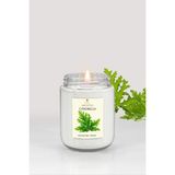 Citronella Sinek Kovucu Kokulu Mum, Cam Kavanoz Mum - Seçenek 1