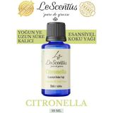 CITRONNELLE Esansiyel Koku Yağı Buhurdanlık Yağı Difüzör Hobi Esansı Oda Ortam Kokusu 10ml