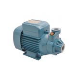 City Pumps P197 IP-500 Sürtme Fanlı Preferikal Su Pompası