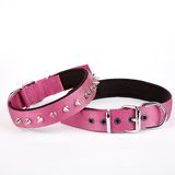 Çivi Desenli Köpek Tasması 2,5*60 Cm Mor