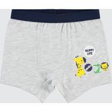Civil Baby Erkek Bebek Boxer 9-18 Ay Gri