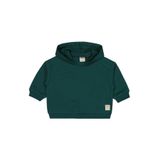 Civil Baby Erkek Bebek Kapüşonlu Sweatshirt, Çam Yeşili, 9-12 Ay