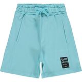 Civil Basic Have Fun Baskılı 2-5 Yaş Koyu Mint Erkek Çocuk Şort