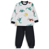 Civil Boys Dinozor Baskılı 2-5 Yaş Gri Pijama Takımı