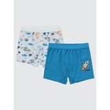 Civil Boys Erkek Çocuk 2'li Boxer Set 2-10 Yaş Standart - 2 - 3 Yaş