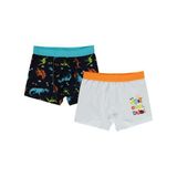 Civil Boys Erkek Çocuk 2'li Boxer Set 2-10 Yaş - Standart6-7 Yaş