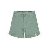 Civil Boys Erkek Çocuk Basic Waffle Şort, 10-13 Yaş, Çağla Yeşili