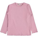 Civil Girls Civil Kız Çocuk Sweatshirt | Kaşkorse Uzun Kol Bisiklet Yaka | Okul Kreş ve Günlük Kullanım - Pembe - Gül Kurusu - Mint - 13 - 14 Yaş