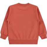 Civil Kaykay Köpek Baskılı 2-5 Yaş Turuncu Erkek Çocuk Sweatshirt