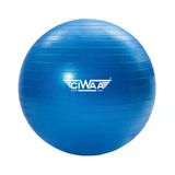 Ciwaa Cwa-2046 Pilates Topu 75 Cm Mavi Pompa Hediyeli