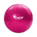 Ciwaa Cwa-2047 Pilates Topu 75 Cm Pembe Pompa Hediyeli