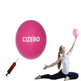CIZEBO Dizler Arası için Küçük Egzersiz Topu, Pompalı 6 "Pilates Topu, Sınıf için 6" Çekirdek Top, 6 inç Fizik Tedavi Topu, Kadınlar için Mini Barre Topu Yoga Topu Ev Egzersizi Fitness PT, Pembe