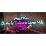 Çizgi Neon Cizgineon Hayat Kısa Bu Kadar Tantanaya Gerek Yok Işıklı Neon LED Duvar Dekarasyon - 35*90 - Pembe