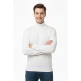 Çizgi Triko Erkek Yarım Balıkçı Kazak Çelik Örgü Regular Kalıp 4241B BGL-ST04854