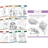 Çizim Sanatı 10 Kitap Set