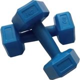 CK Spor 1 kg x 2 Adet Plastik Dambıl Ağırlık Seti Köşeli Dambıl - Mavi