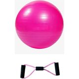 CK Spor 55 cm Fitilli Pilates Topu + Sünger Saplı Şeklinde Direnç Lastiği Seti - Pembe