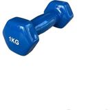 CK Spor Ckspor 1 kg Köşeli Vinly Dambıl Seti Kaymaz Özel Kaplama Ithal Ergonomik Dambıl 1 Adet - 1 kg - Mavi