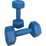 CK Spor Ckspor 2'li Dambıl Seti 1 kg x 2 Adet Plastik Dambıl Ağırlık Seti Köşeli - 2 x 1 kg - Mavi