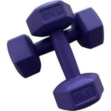 CK Spor Ckspor 2'li Dambıl Seti 1 kg x 2 Adet Plastik Dambıl Ağırlık Seti Köşeli - 2 x 1 kg - Mor