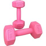 CK Spor Ckspor 2'li Dambıl Seti 1 kg x 2 Adet Plastik Dambıl Ağırlık Seti Köşeli - 2 x 1 kg - Pembe