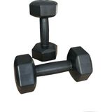 CK Spor Ckspor 2'li Dambıl Seti 1 kg x 2 Adet Plastik Dambıl Ağırlık Seti Köşeli - 2 x 1 kg - Siyah
