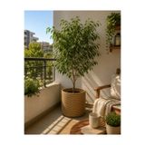 Ckdesign Doğal Hasır Saksı Sepeti Bohem Balkon Salon Dekoru 25×25