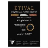 Clairefontaine 975319C - Boyama bloğu yapıştırılmış 2 tanecikli, 1 sayfa Etival kağıt, 15 yaprak 29,7 x 42 cm, 300 g, siyah