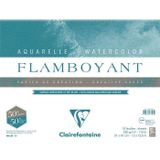 Clairefontaine Flamboyant Extra Rough 250 gr 31x41 cm 10 Yaprak Sulu Boya Blok