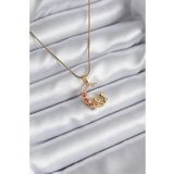 Clariss 316L Çelik Gold Renk Hilal Kedi Model Zirkon Taşlı Detay Kadın Kolye