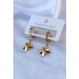 Clariss BJ-BKP7739 316L Çelik Gold Renk Kutup Yıldızı Model Kadın Küpe