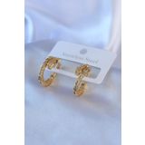 Clariss BJ-BKP7769 316L Çelik Gold Renk Yılan Model Zirkon Taşlı Kadın Küpe