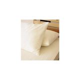 Clasy 2 Li Pamuk Saten Çizgili Yastık Kılıfı 50 x 70 - Ekru