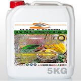Clean&Strong Oda Parfümü Mango 5 kg