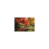 Clementoni Autumn Park 1000 Parça Puzzle