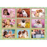 Clementoni Puppies Collage Puzzle 180 Parça 29788