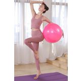 Clifton Dayanıklı Yüksek Kalite Fitilli Pilates Topu 75 Cm