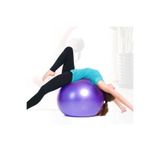 Clifton Pilates Topu 65cm - Şişirme Pombası Hediyeli Karışık, Çok Renkli Tek Ebat, TRIA-T1207