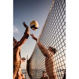 Clifton Premium 9.5 Metre Voleybol Filesi Pratik Çantalı Beach Sahil Otel Tipi, 9.5 Metre, AA9973666, Çok Renkli