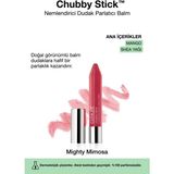 Clinique Chubby Stick 13 3 gr Nemlendirici Dudak Parlatıcı