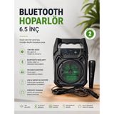 Cm Store Bluetooth Hoparlör Mikrofonlu Taşınabilir Ses Sistemi Fm Radyo USB Sd Kart ve Tws Özellikli - Belirtilmemiş