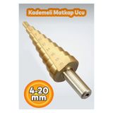 Cmc Tools CMC6595 Kademeli Sac ve Metal Yüzey Delme Matkap Girişli Panç 4-20 mm