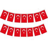 Cmk İpli Türk Bayrağı Mini Boy 2 Paket 80 Adet Bayrak