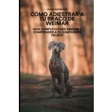 Cómo Adiestrar a tu Braco de Weimar: Guía Completa para Educar y Comprender a tu Compañero Peludo