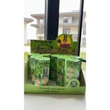 CN Collection Sonny Angel Cactus (Kaktüs) Series