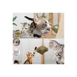 CNGZHN Kedi Nanesi Oyun Topu