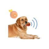 CNGZHN Köpekler İçin Sesli Oyuncak Tavuk Butu
