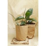 Co&bo Kraft Paper Yıkanabilir Kağıt Saksı -Küçük